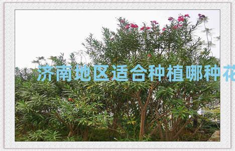济南地区适合种植哪种花卉