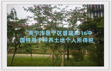 南宁市邕宁区盛瑞2016中国特用于种养土地个人所得税
