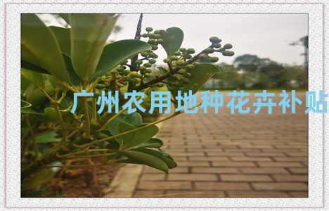 广州农用地种花卉补贴