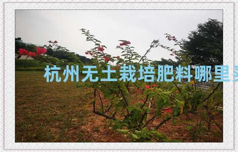 杭州无土栽培肥料哪里买