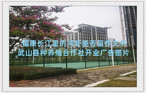 福康长江里的河虾能否留作文书武山县种养殖合作社开业广告图片
